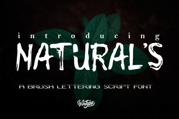 Finding Your Editorial Voice with Natural s Font