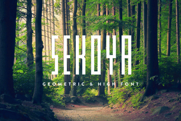 Sekoya Font: A Geometric Gem for Crafts and Commercial Creations