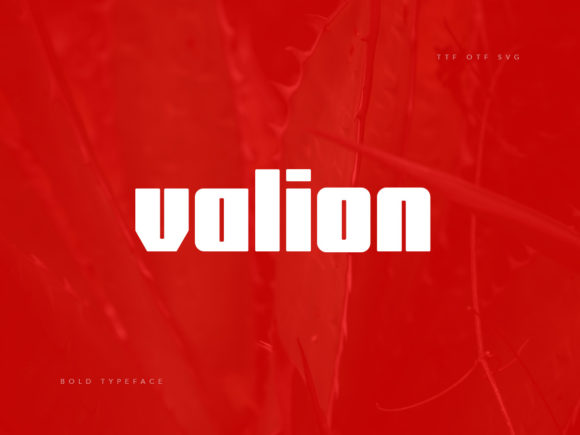 Valion: A Bold Display Font for Business Branding