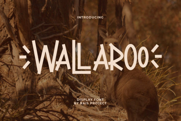 Wallaroo: A Display Font for Crafted Editorial Moments